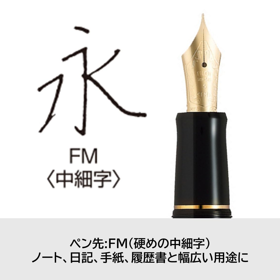 Amazon | PILOT 万年筆 カスタム74 FM ファインミディアム(中細字
